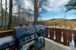 BBQ with amazing views of downtown Helen